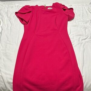 Calvin Klein Fuchsia Mini Dress